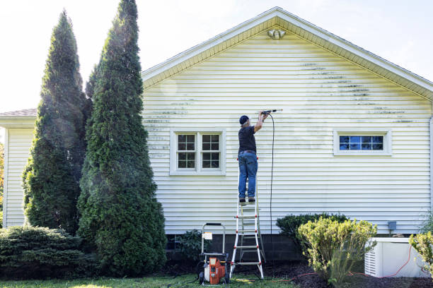 Best Roof Pressure Washing  in Lukachukai, AZ