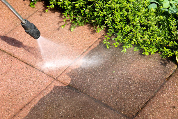 Best Sidewalk Pressure Washing  in Lukachukai, AZ